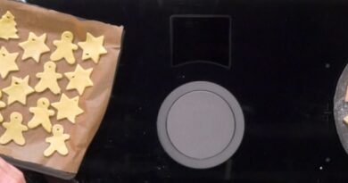 Cotto e mangiato biscotti natalizi da appendere