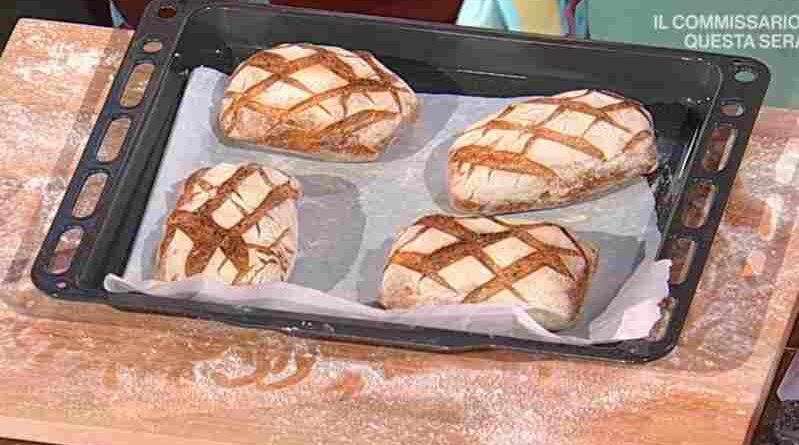 pane barbaria è sempre mezzogiorno