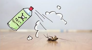 Eliminare scarafaggi professionale